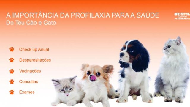 A Importância da Profilaxia para a Saúde do Teu Cão e Gato