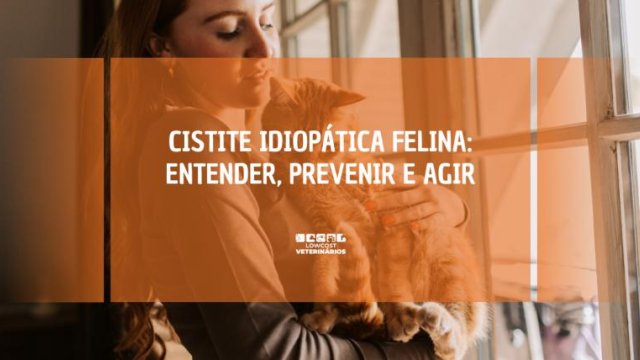 Cistite Idiopática Felina: Entender, Prevenir e Agir Rapidamente