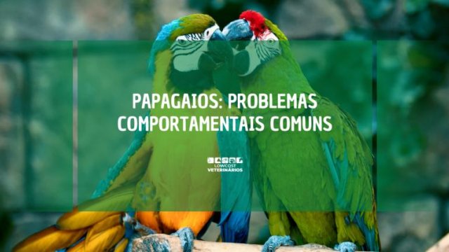 Papagaios: Problemas Comportamentais Comuns