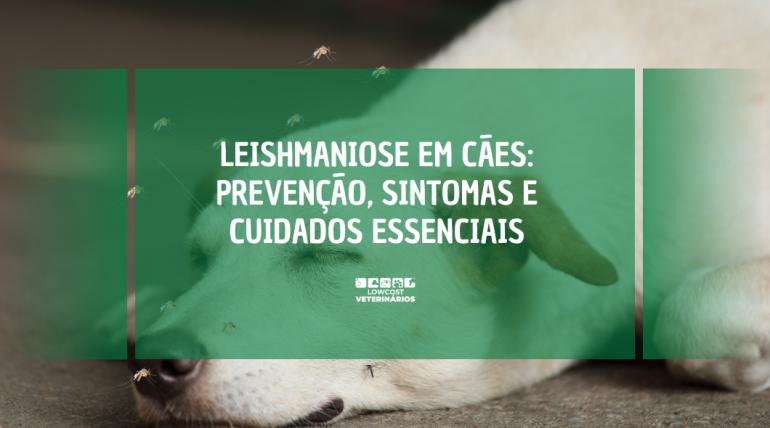 Leishmaniose em Cães: Prevenção, Sintomas e Cuidados Essenciais
