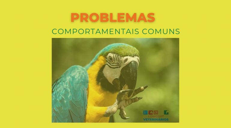 Papagaios: Problemas Comportamentais Comuns