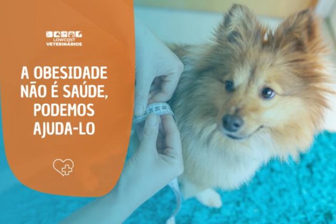 Programa Peso Ideal