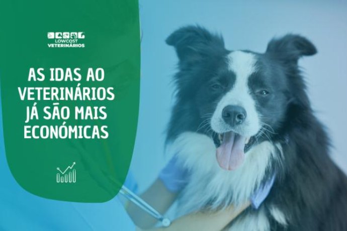 Programa Profilaxia - 365