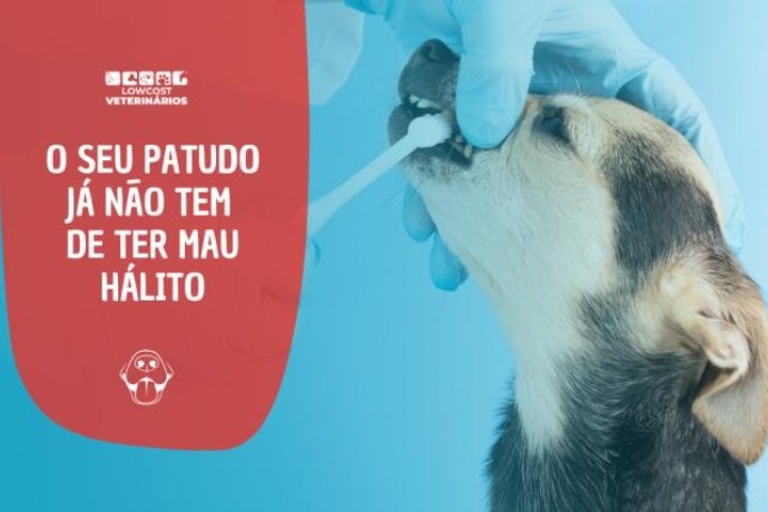 Programa Saúde Oral