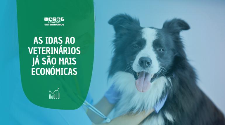 Programa Profilaxia - 365 Programa Profilaxia - 365