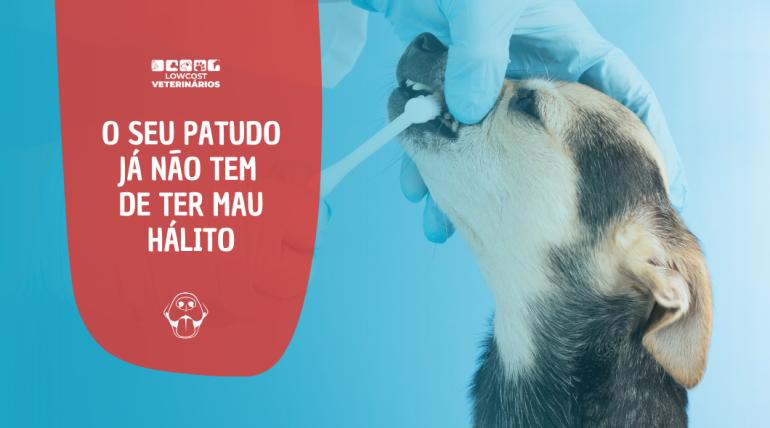 Programa Saúde Oral