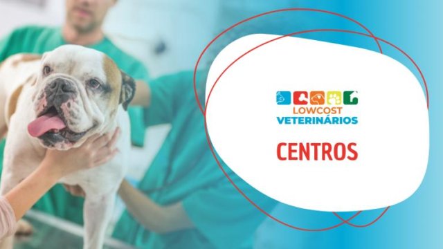 LowCost Veterinários  Centros