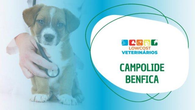 Lowcost Veterinários Campolide - Benfica