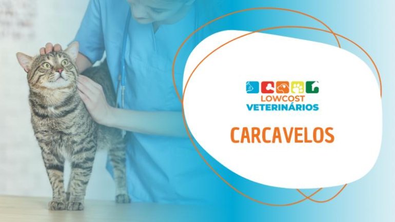 LowCost Veterinários Carcavelos