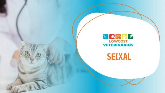Lowcost Veterinários Seixal