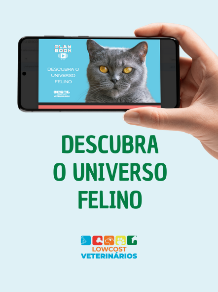 Ebook Gratuito