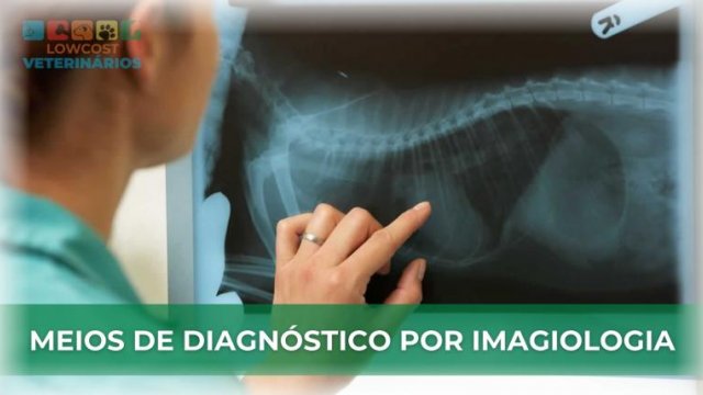 Meios de diagnóstico por imagiologia