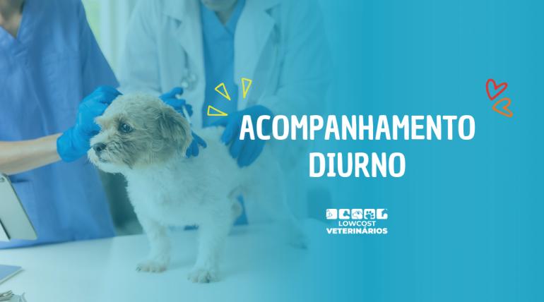 Acompanhamento diurno