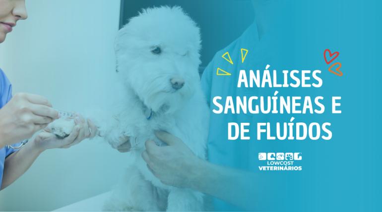 Análises Sanguíneas e de Fluidos Análises Sanguíneas e de Fluidos