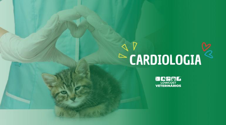 Cardiologia