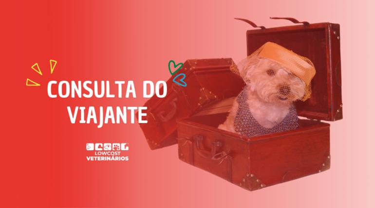 Consulta do viajante