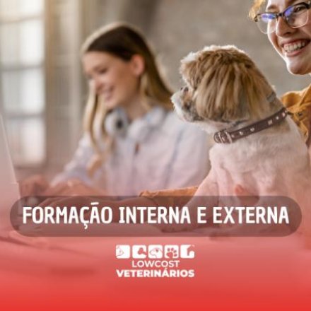 Formação Interna e Externa