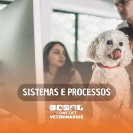 Sistemas e Processos